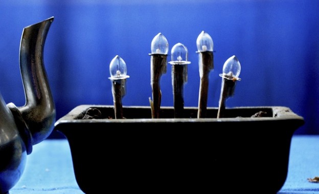 Beta-i in the article by The Guardian as the only accelerator in Portugal to look at